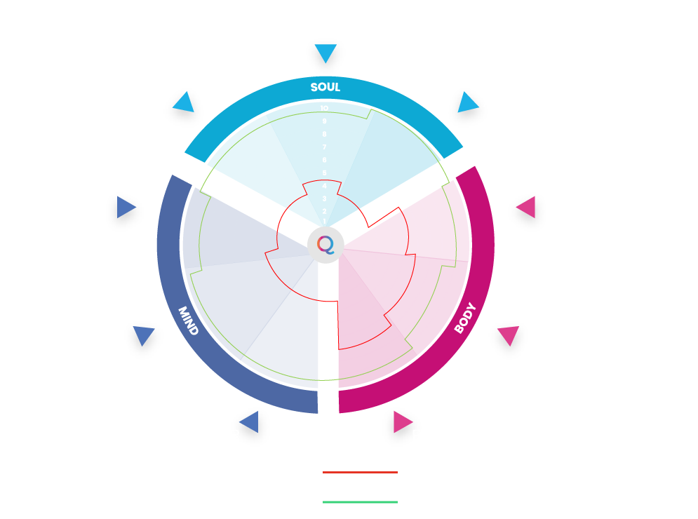 QM-Scorecard-Diagram-Chart